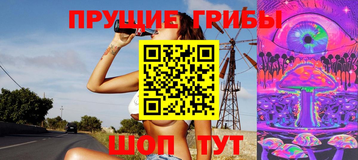 Тельмана  Псилоцибиновые грибы Psilocybine cubensis  Вход с VPN 