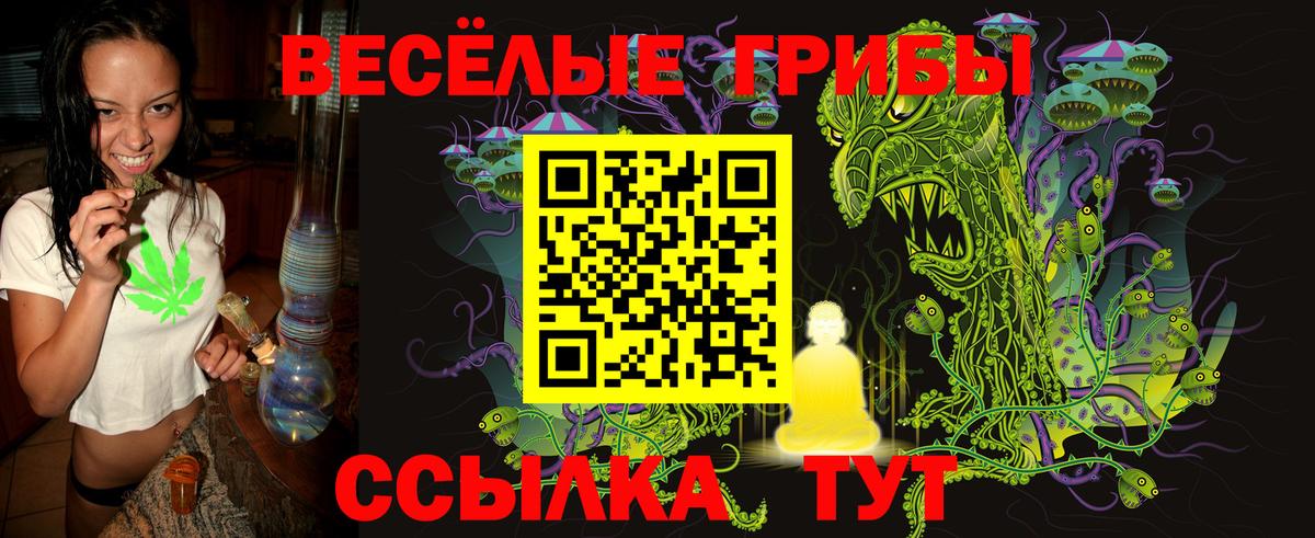 Псилоцибиновые грибы мицелий Тельмана